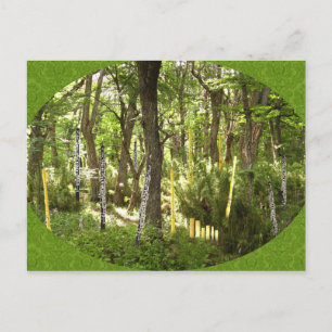 Postal Bosque de Oboe