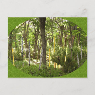 Postal Bosque de Oboe