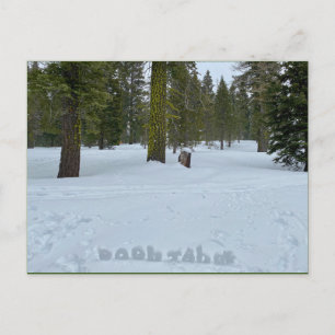 Postal Bosque de Oooh Tahoe