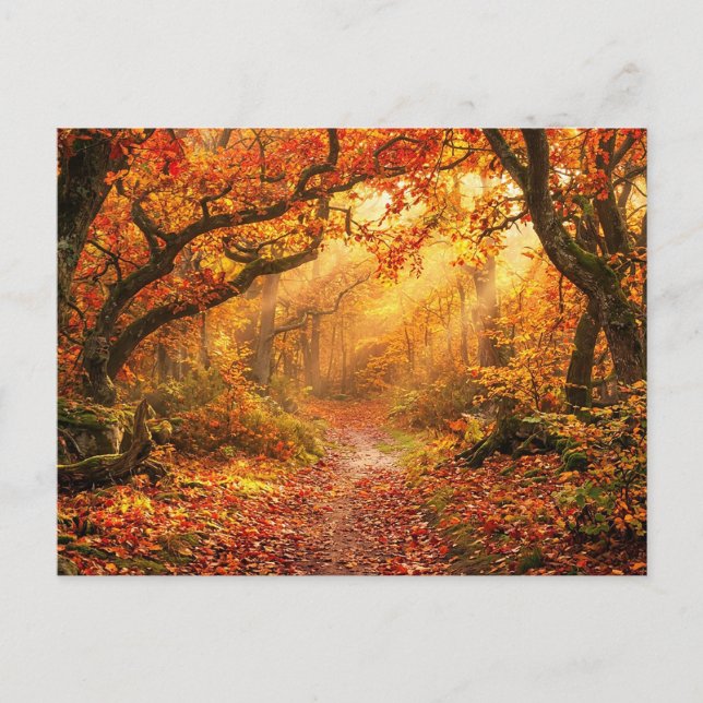 Postal Bosque de Otoño (Anverso)