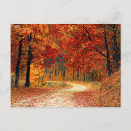 Postal Bosque de otoño