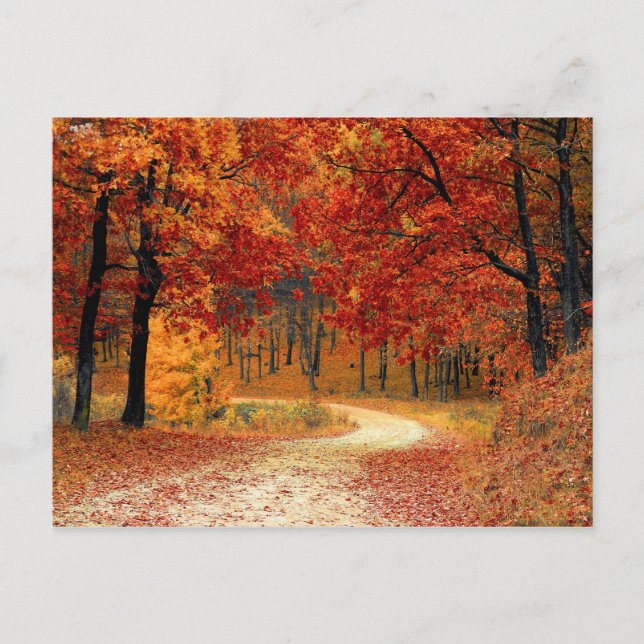 Postal Bosque de otoño (Anverso)