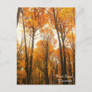Postal Bosque de otoño naranja
