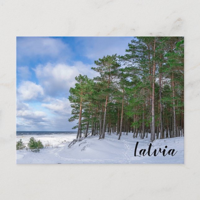 Postal Bosque de pino cerca de la costa marítima de Leton (Anverso)