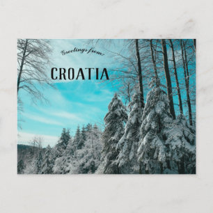 Postal Bosque De Pino Cubierto En La Meseta De Nieve De C