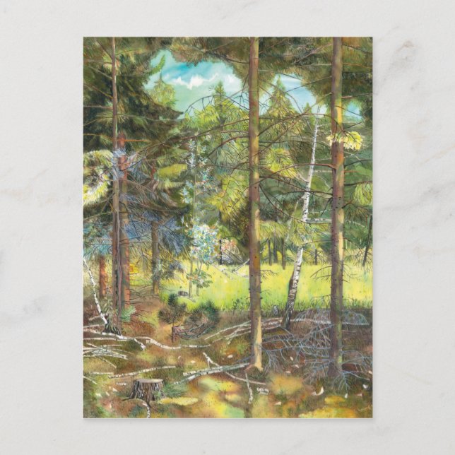 Postal Bosque de pinos (Anverso)