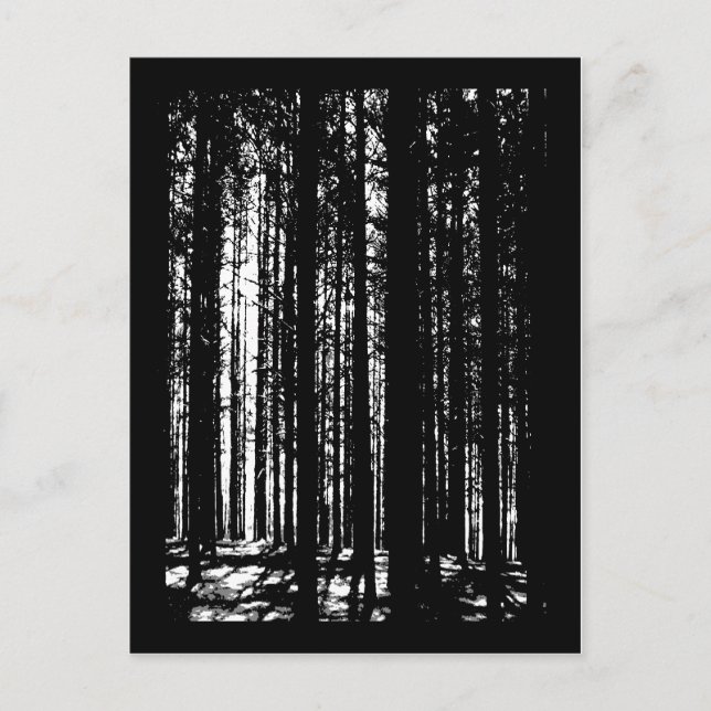 Postal bosque de pinos (Anverso)