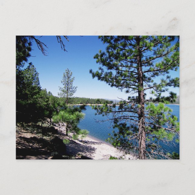 Postal Bosque del Estado de Tahoe - California (Anverso)