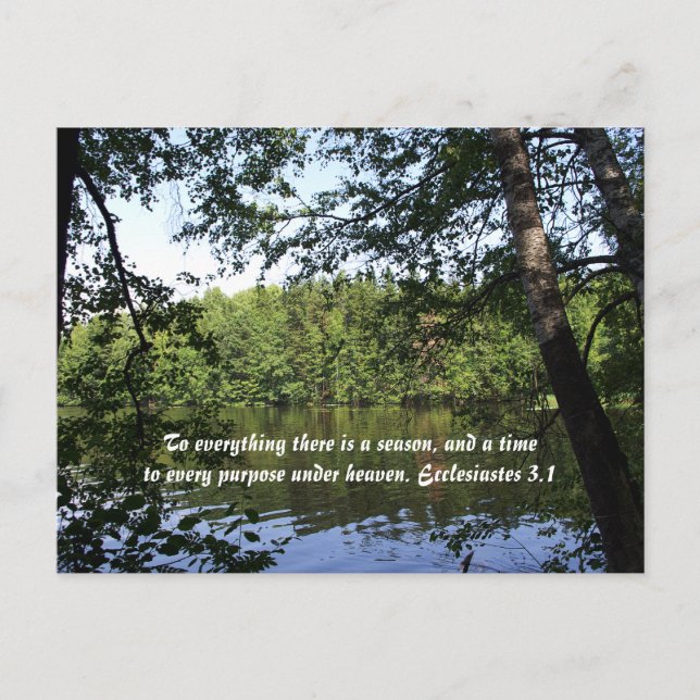 Postal Bosque del lago Season Ecclesiastes (Anverso)
