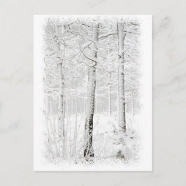 Postal Bosque en invierno
