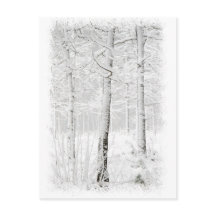 Bosque en invierno