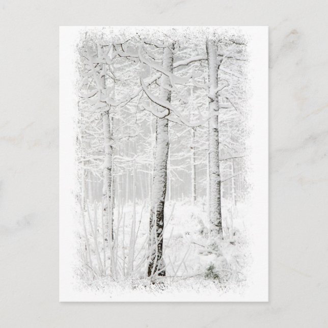 Postal Bosque en invierno (Anverso)