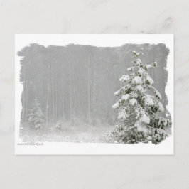 Postal Bosque en invierno
