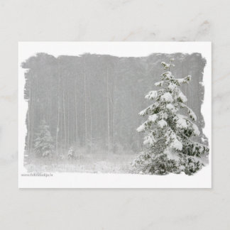 Postal Bosque en invierno