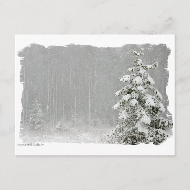 Postal Bosque en invierno (Anverso)