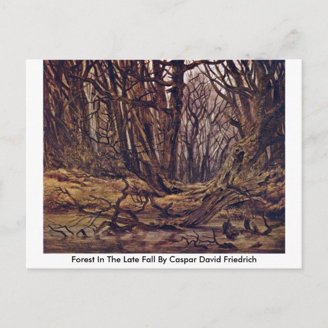 Postal Bosque En La Caída De Caspar David Friedrich (Anverso)