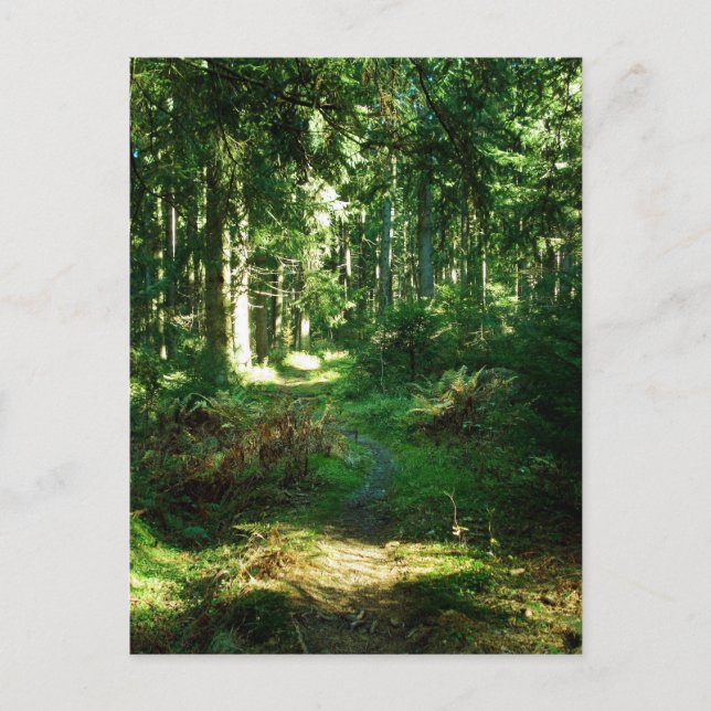 Postal bosque encantado (Anverso)