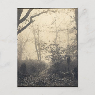 Postal Bosque Fontainebleau