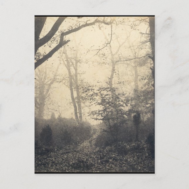 Postal Bosque Fontainebleau (Anverso)