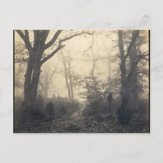 Postal Bosque Fontainebleau