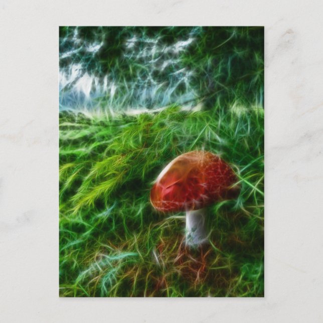 Postal Bosque Fractal Mushroom (Anverso)