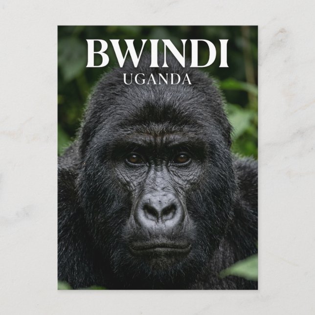 Postal Bosque impenetrable de Bwindi Uganda (Anverso)