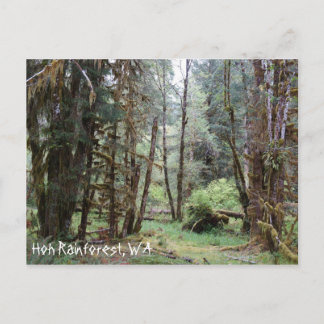 Postal Bosque Lluvioso de Hoh, Estado de Washington, Tarj
