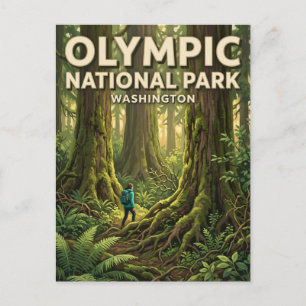 Postal Bosque Lluvioso de Quinault Amanda Park Washington