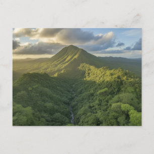 Postal Bosque Lluvioso El Yunque Puerto Rico