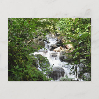 Postal Bosque Lluvioso Yunque, Puerto Rico