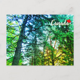 Postal Bosque Mezcla de árboles de Canadá