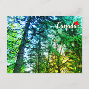 Postal Bosque Mezcla de árboles de Canadá