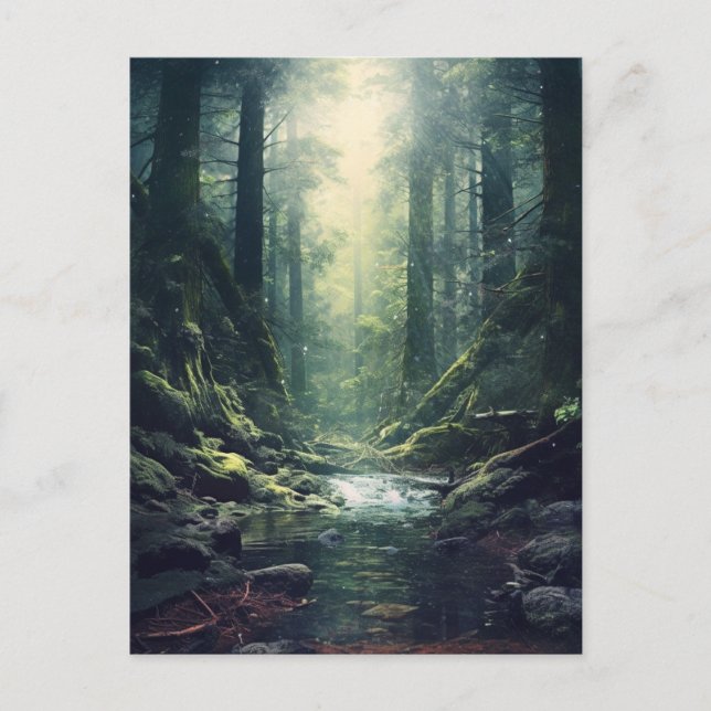 Postal Bosque misterioso (Anverso)