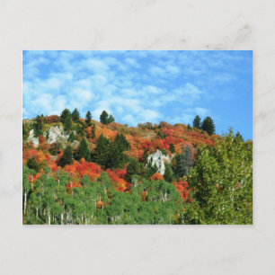 Postal Bosque Nacional Caribou-Targhee