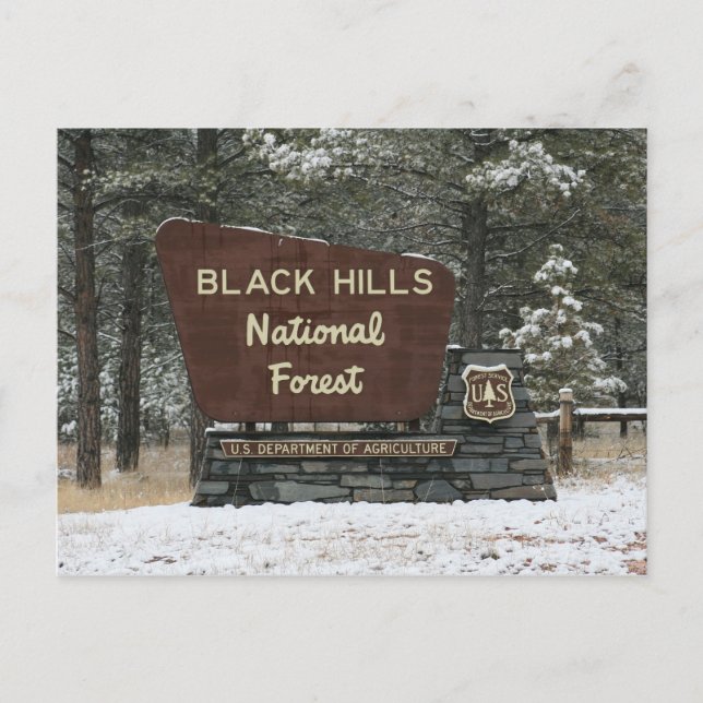 Postal Bosque nacional de Black Hills (Anverso)