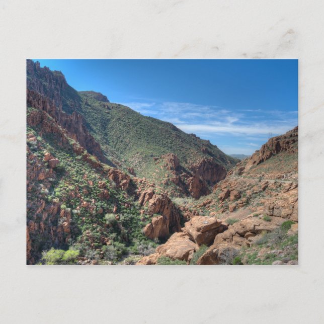 Postal Bosque nacional de Coconino (Anverso)