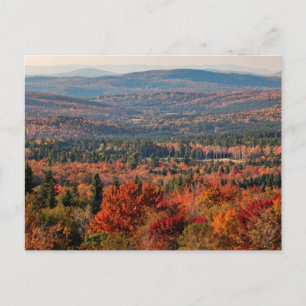 Postal Bosque nacional de las Montañas Blancas   Nuevo Ha