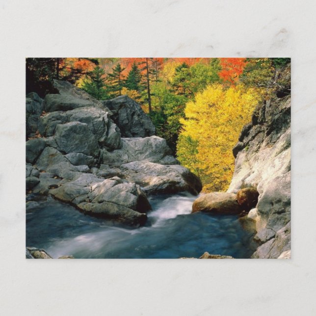 Postal Bosque Nacional de Montaña Blanca, NH (Anverso)