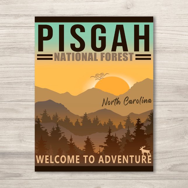 Postal Bosque nacional de Pisgah Carolina del Norte (Subido por el creador)