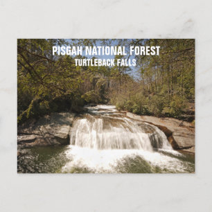 Postal Bosque nacional de Pisgah Cascada de Carolina del 