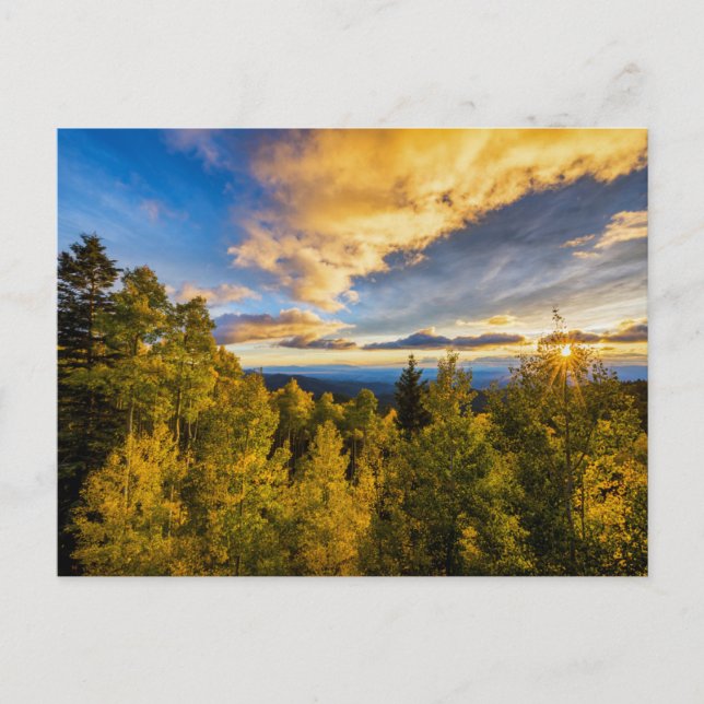 Postal Bosque Nacional de Santa Fe al atardecer en otoño (Anverso)