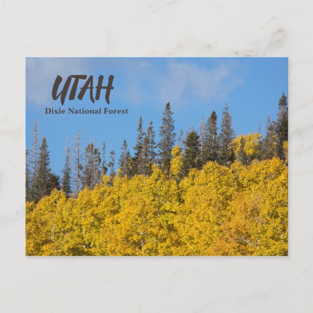 Postal Bosque nacional de Utah Dixie (Anverso)