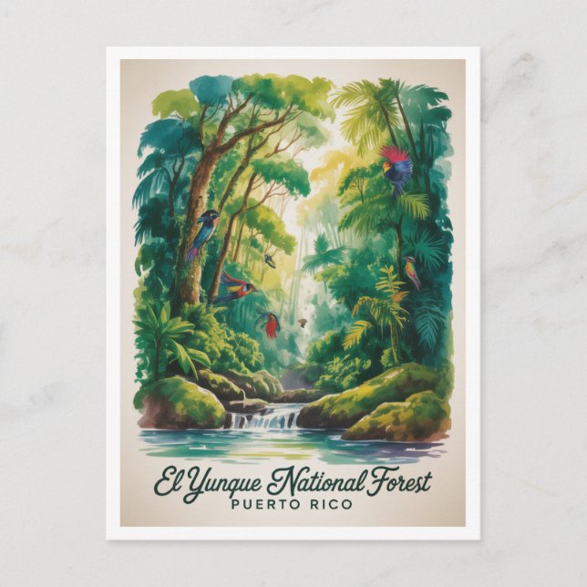 Postal Bosque Nacional El Yunque Puerto Rico (Anverso)