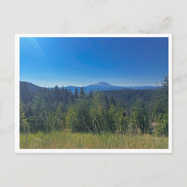 Postal Bosque Nacional Gifford Pinchot (Anverso)
