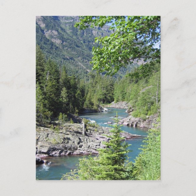 Postal Bosque nacional impresionante (Anverso)