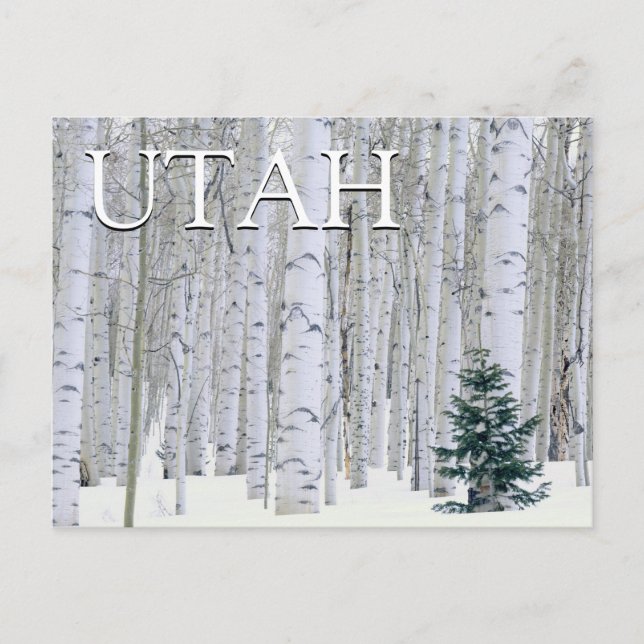 Postal Bosque Nacional Manti-LaSal, Utah | Cumpleaños fel (Anverso)
