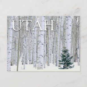 Postal Bosque Nacional Manti-LaSal, Utah Feliz Cumpleañ