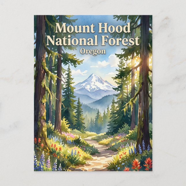 Postal Bosque Nacional Monte Hood Oregón (Anverso)
