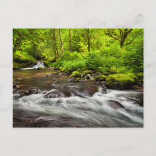 Postal Bosque Nacional Siuslaw, Creek dulce, Oregón