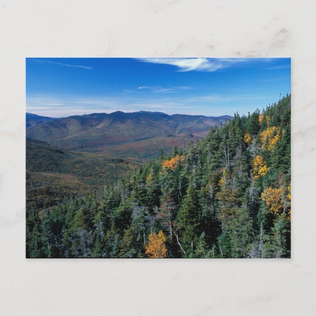 Postal Bosque Nacional White Mountain, NH. La vista desde (Anverso)